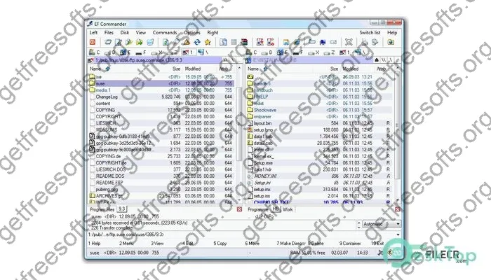 EF Commander Crack 24.07 Free Download