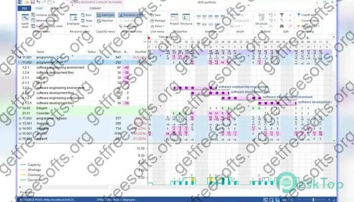 Rillsoft Project Crack 9.0.615.204 Free Download