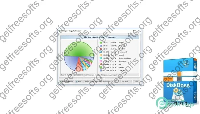 DiskBoss Crack 14.9.18 Free Download