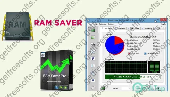 Ram Saver Professional Crack 24.8.0 Free Download