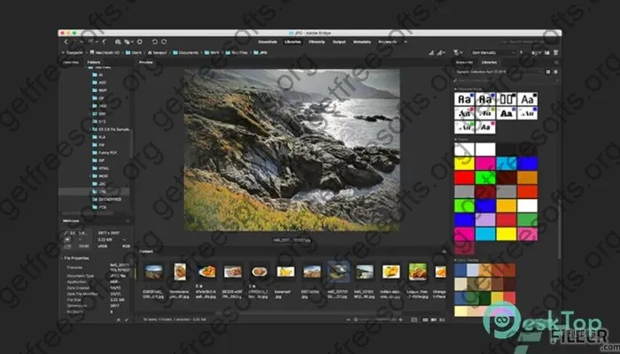 Adobe Bridge 2024 Crack v14.1.2.300 Free Download