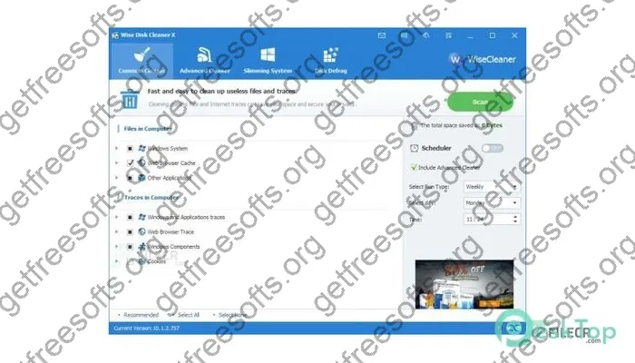 Wise Disk Cleaner Crack 11.1.3.829 Free Download