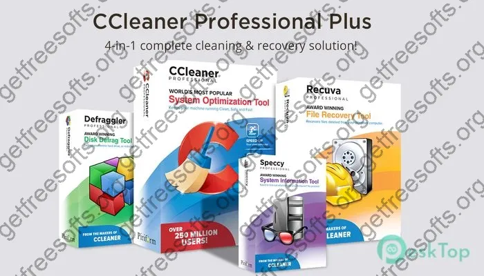 CCleaner Professional Plus Crack 6.24 Free Download