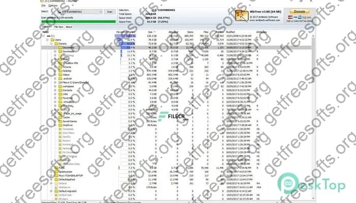 WizTree Crack 4.17 Free Download