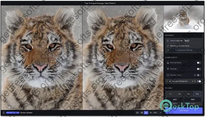 Topaz Photo AI Crack 3.1.3 Free Download