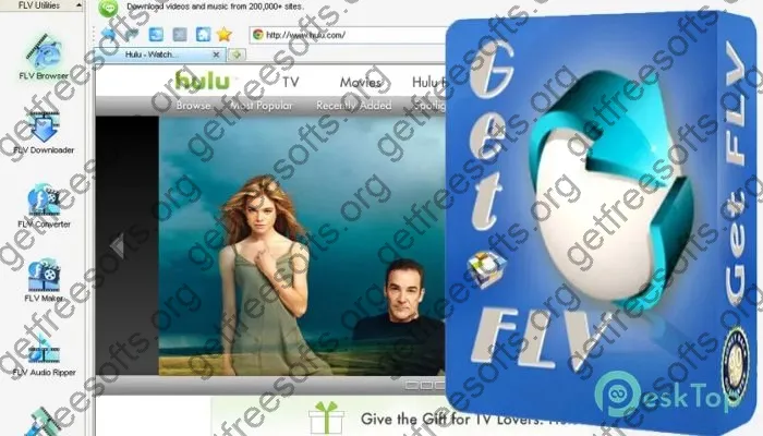 Vdigger GetFlv Crack 31.2405 Free Download