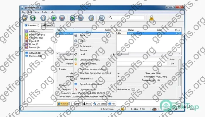 qBittorrent Crack 4.6.5 Free Download