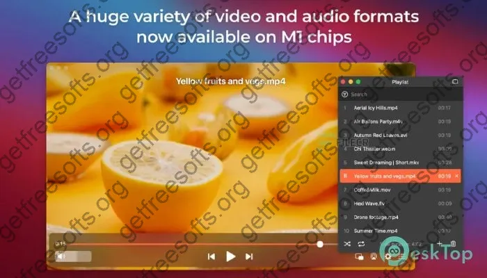 ElMedia Player Crack 8.18 Free Download