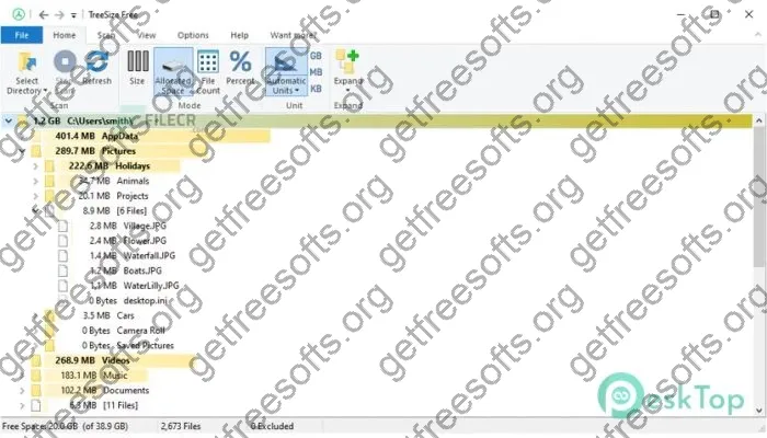 TreeSize Professional Crack 9.1.4.1881 Free Download